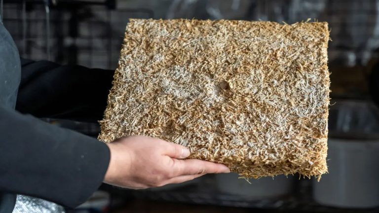 Challenges and Regulatory Barriers in Using Bio-Based Materials in Canadian Construction