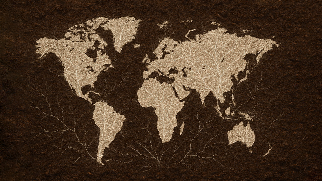 ChatGPT Image Sep 23, 2025, 09_00_16 PM