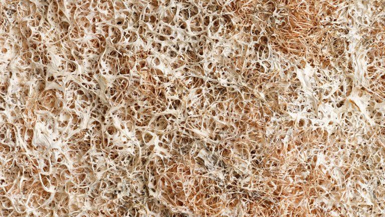 How Mycelium Panels Enable Carbon Reduction in Construction
