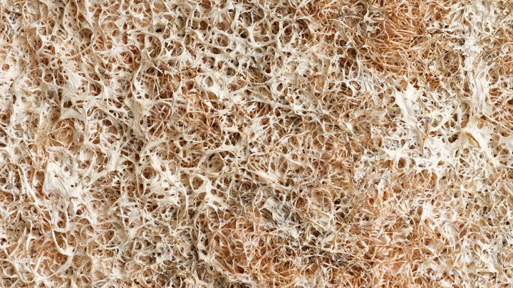 How Mycelium Panels Enable Carbon Reduction in Construction