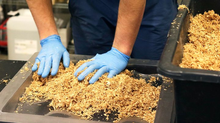 Turning Food Waste into Sustainable Building Materials